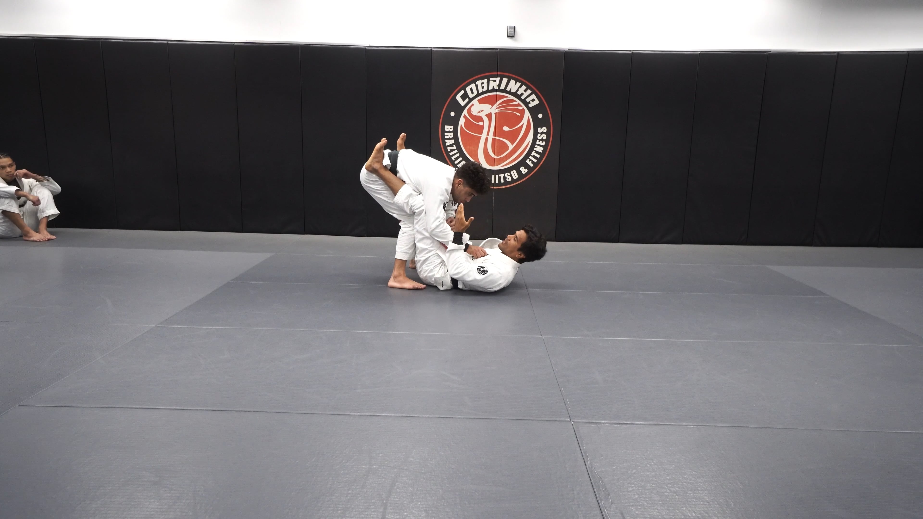 Luxury Grip Concept: Approach to Having Economical Grips