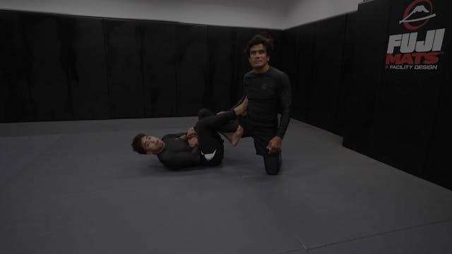 Butterfly Ashi Footlock Retention & F...