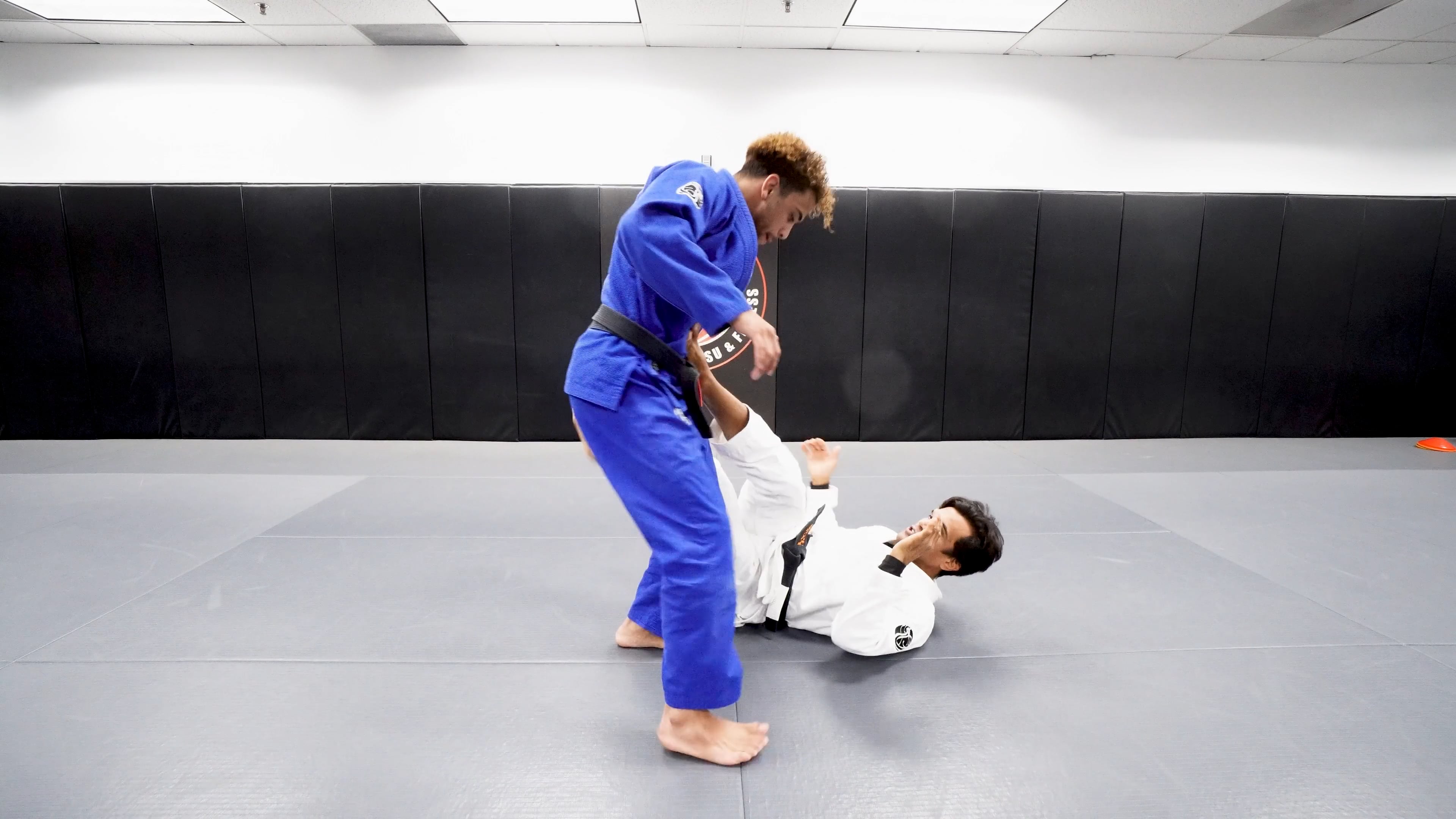 Seesaw Guard, Bullfighting Pass, Leg Drag