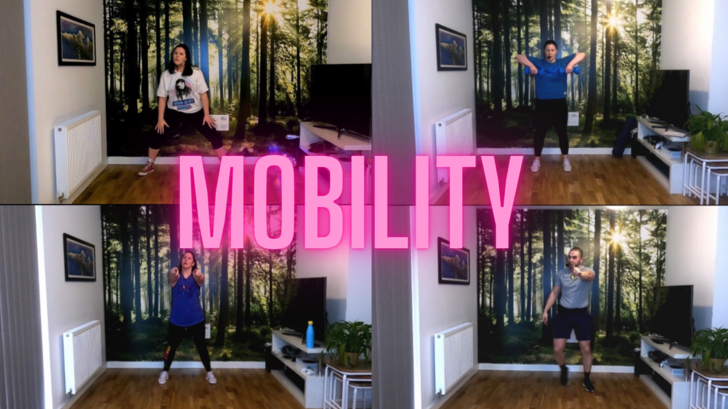 Mobility & Stretch