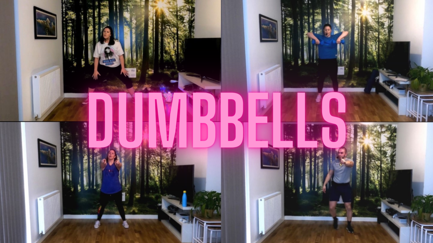 Dumbbell BodyBlitz