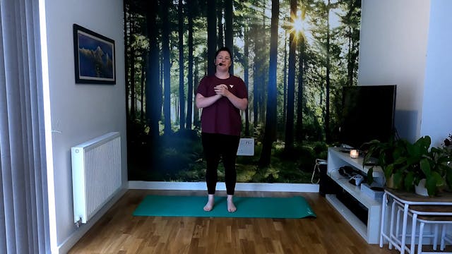 Mobility-Hip openers