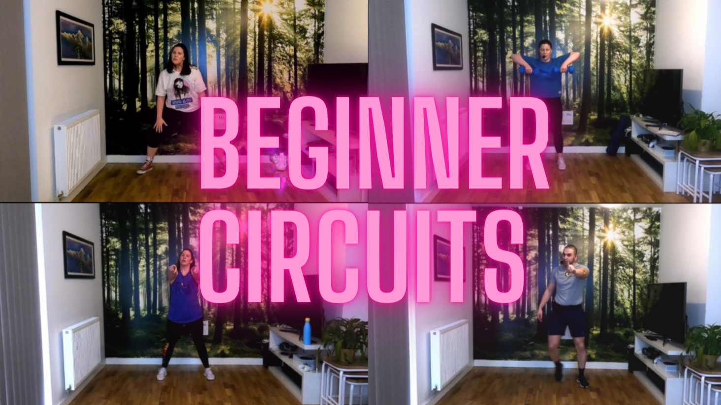 Beginner circuits
