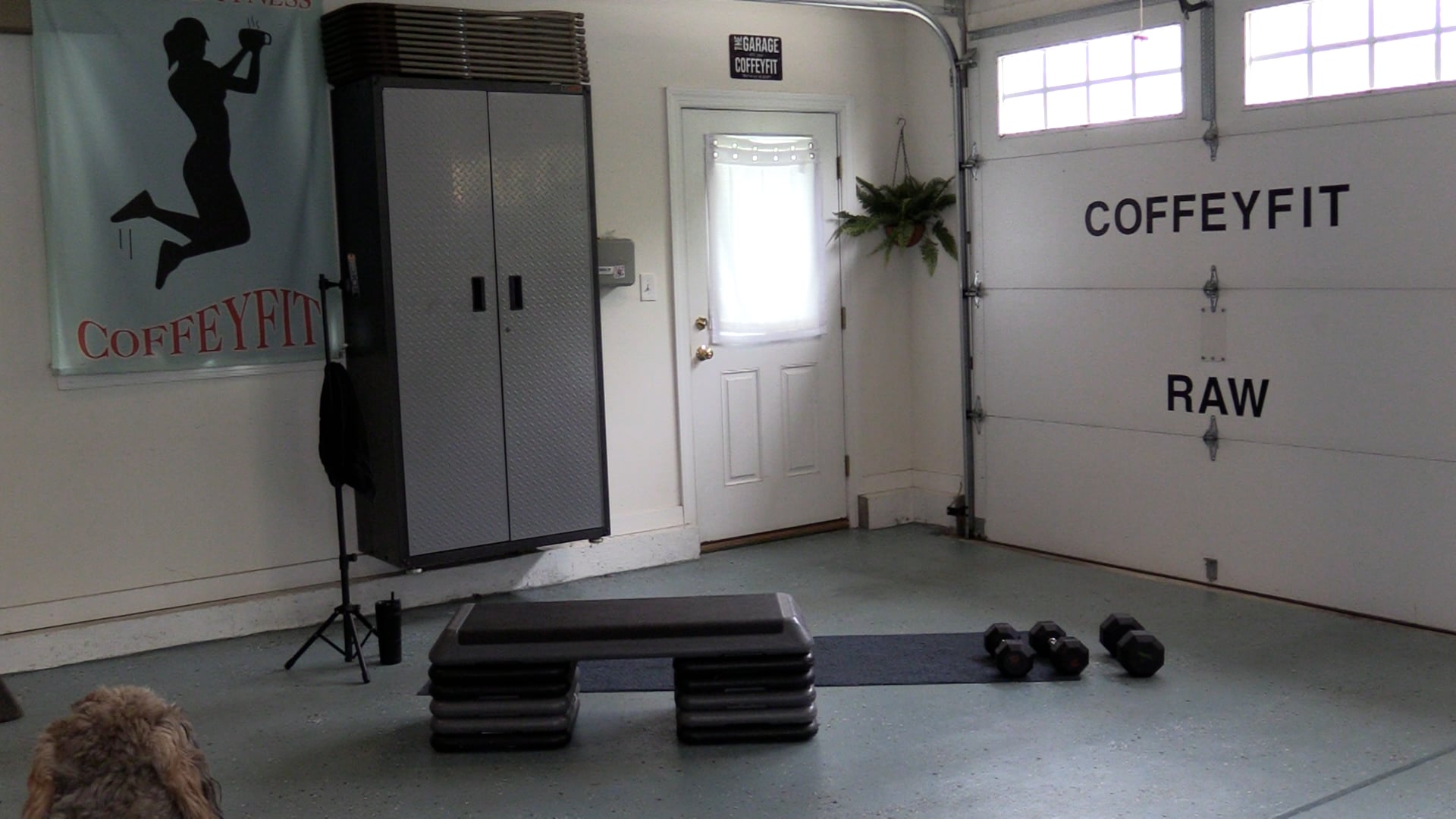 Step & Weights 2026 (Advanced))