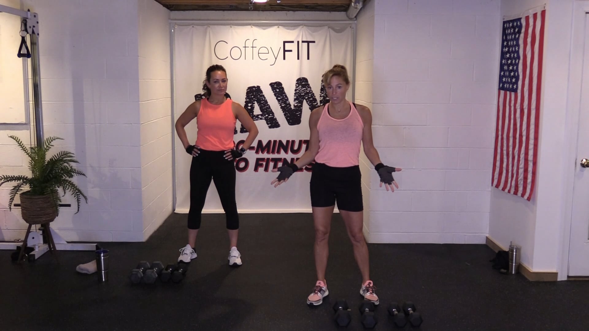 "RAW" Fitness Ladder 2