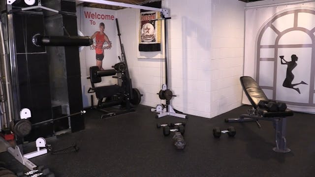 Lower/ Back/ Chest (2025)