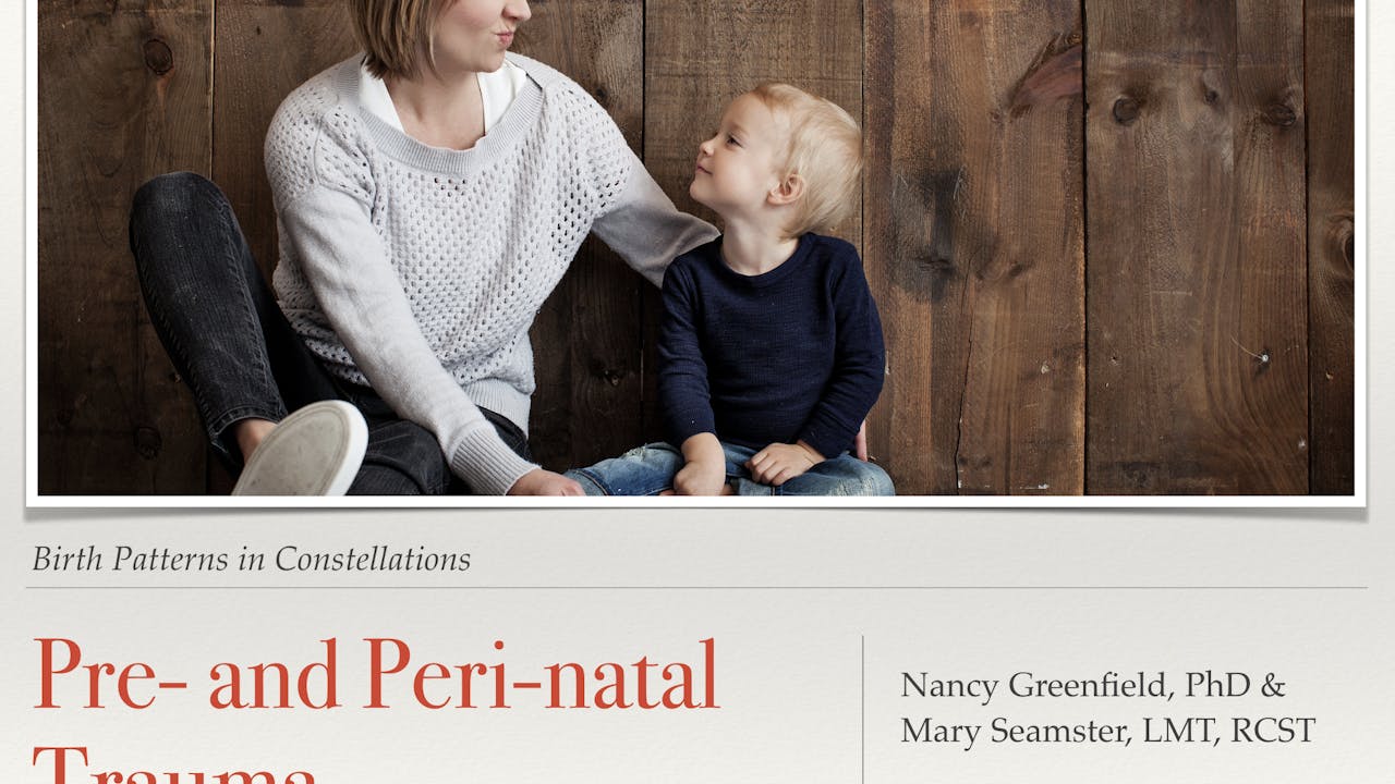 Pre- and Peri-natal Trauma: Birth Patterns in Constellations with Nancy Greenfield PhD and Mary Seamster LMT