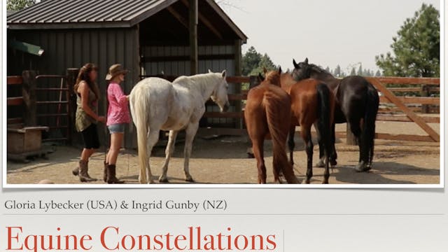 Equine Constellations with Gloria Lybecker (USA) and Ingrid Gunby (NZ)