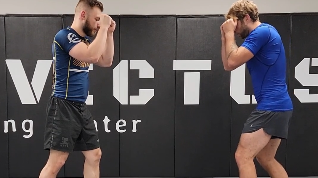 Basic #1 - Turtle, Dive & Clinch / Side Clinch Options / Near Side Armbar