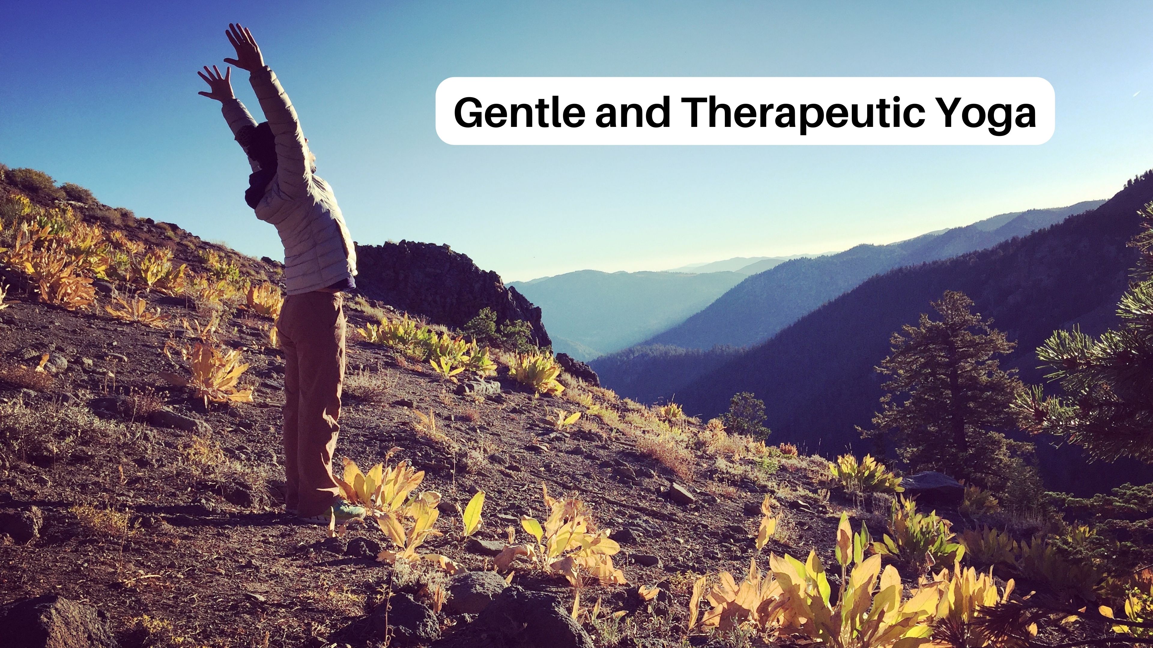 Gentle Yoga Video Bundle 1