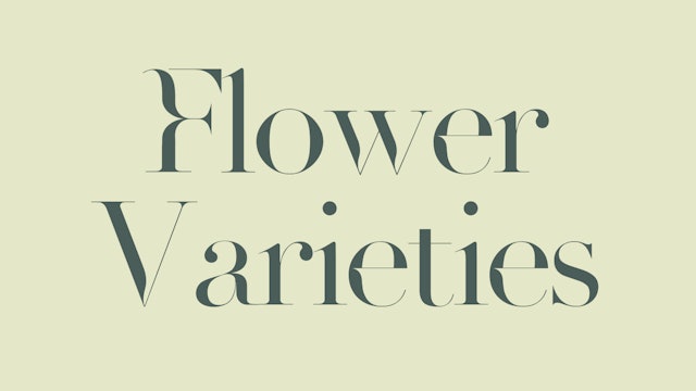 0114 | Flower Varieties - Lisianthus