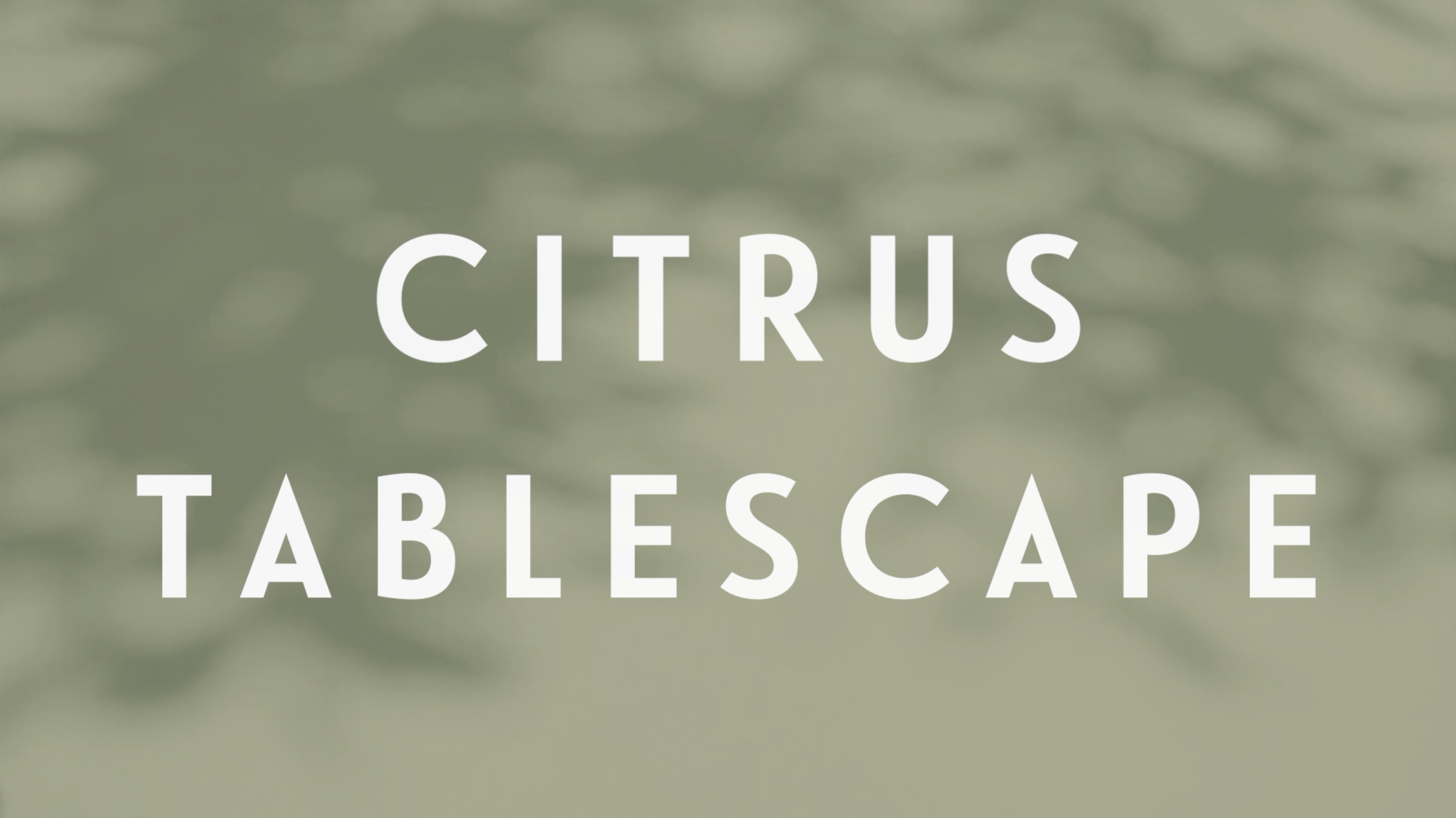 0124 | Citrus TableScape