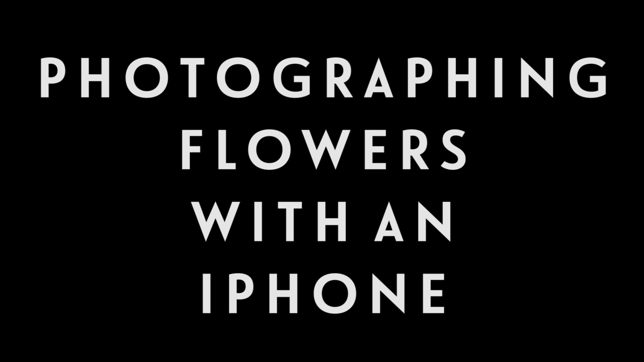 0060 | Photograph Your Flowersi with an iPhone
