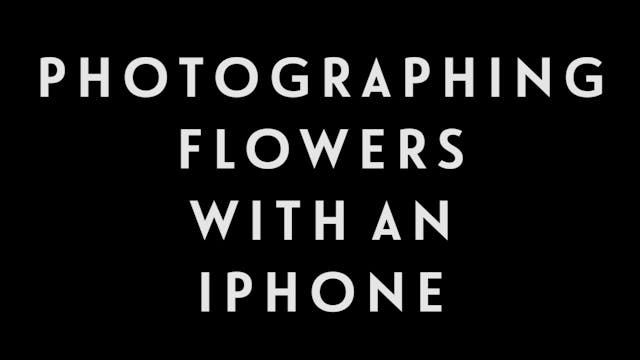 0060 | Photograph Your Flowersi with ...