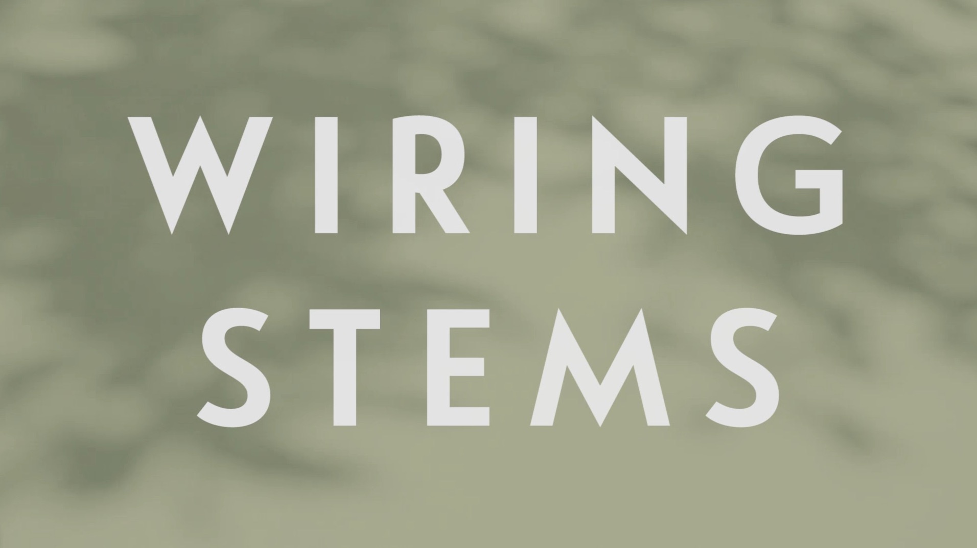 0081 | Wiring Stems