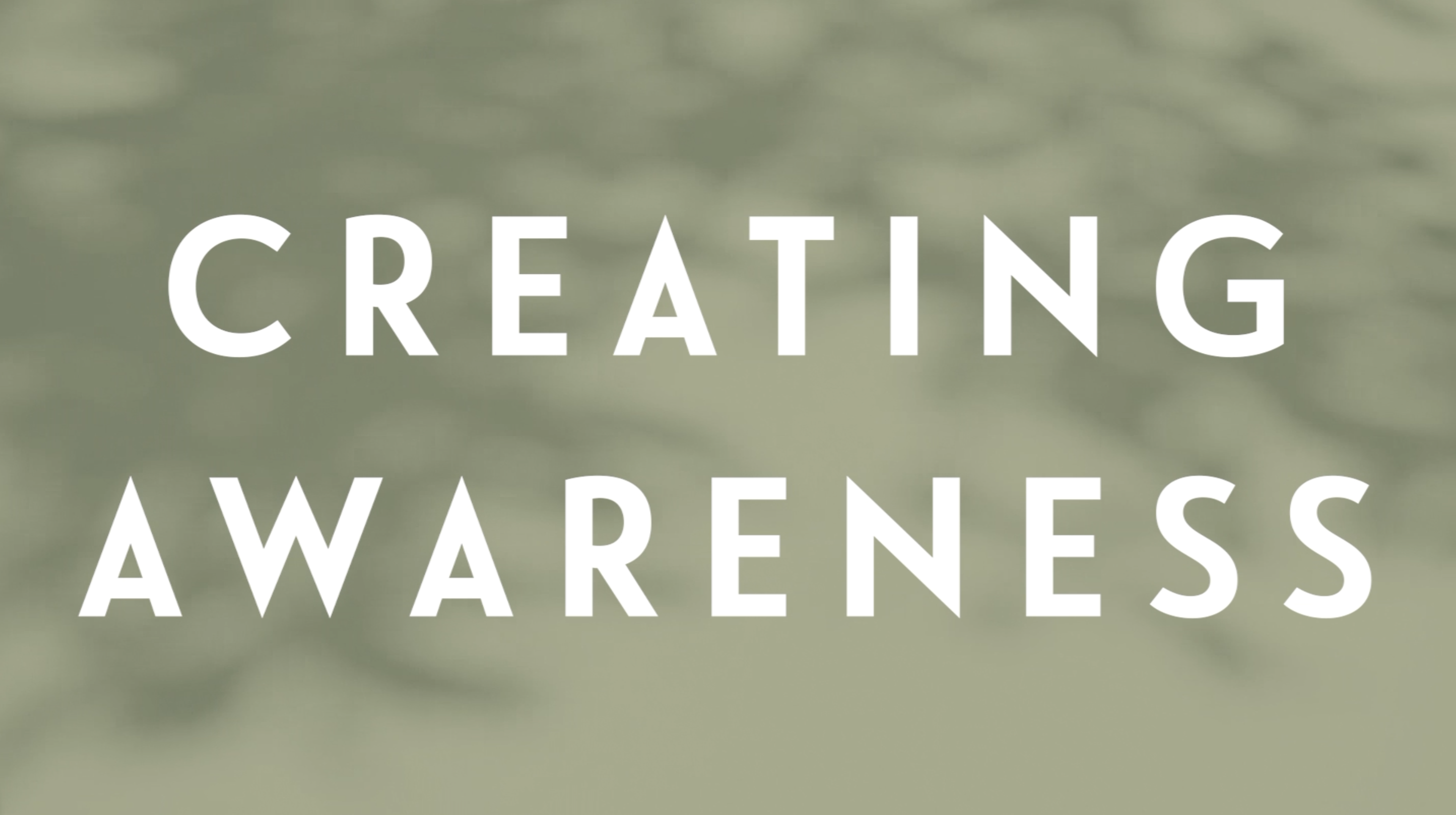 0122 | Holiday Offers - Creating Awareness