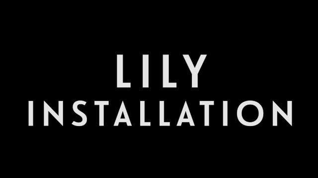 0034 | Lily Installation