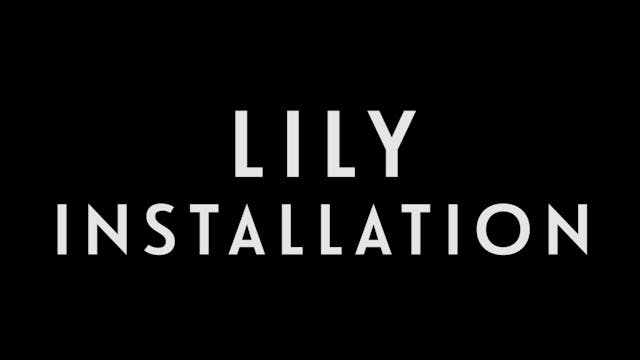 0034 | Lily Installation