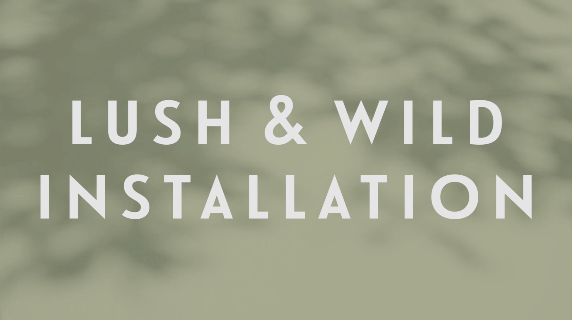 0084 | Lush & Wild Installation