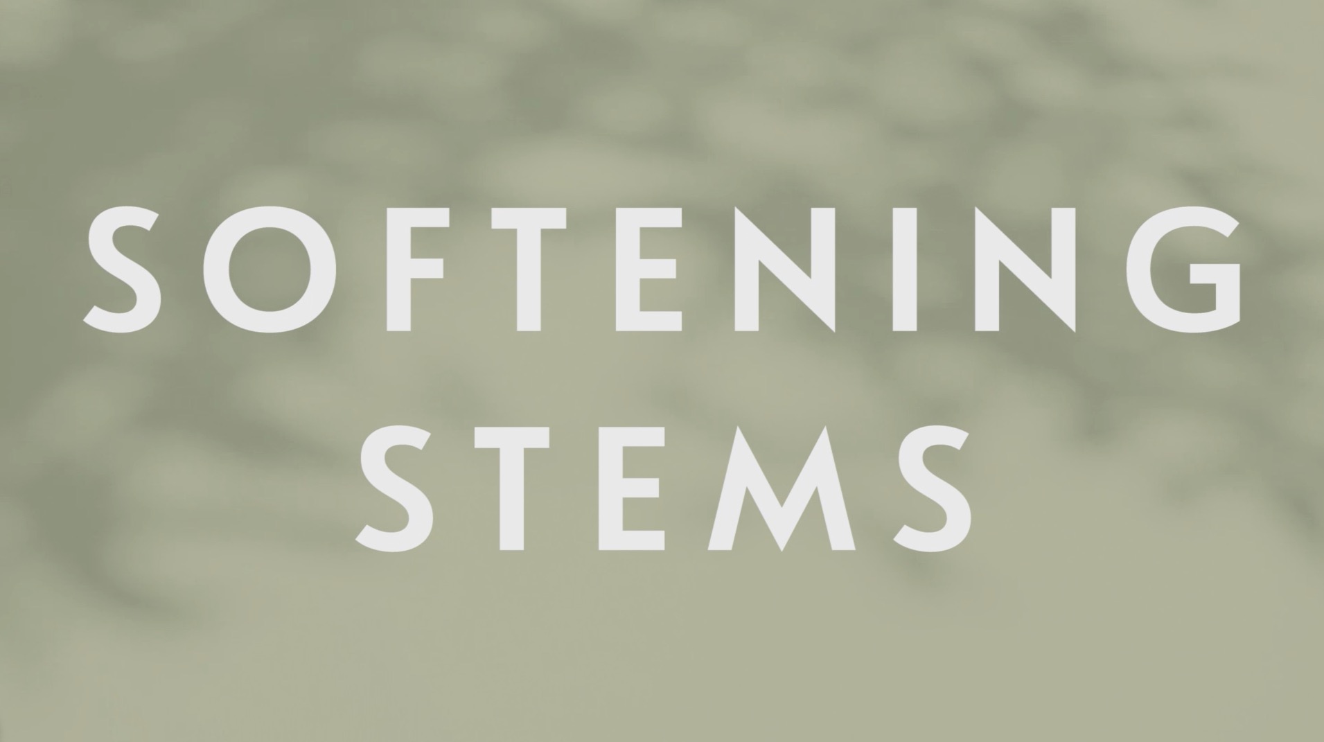 0089 | Softening Stems