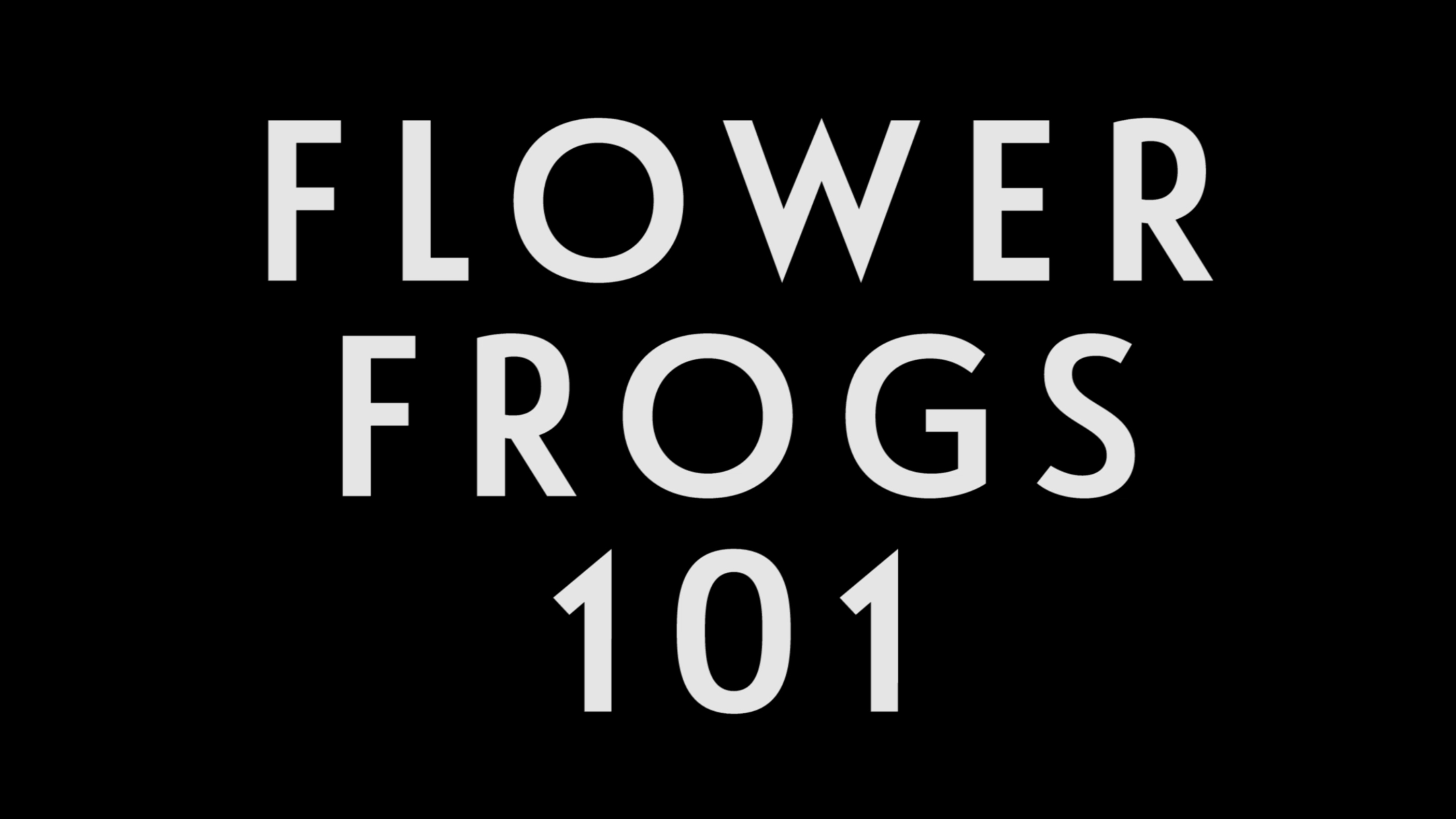 0030 | Flower Frogs 101