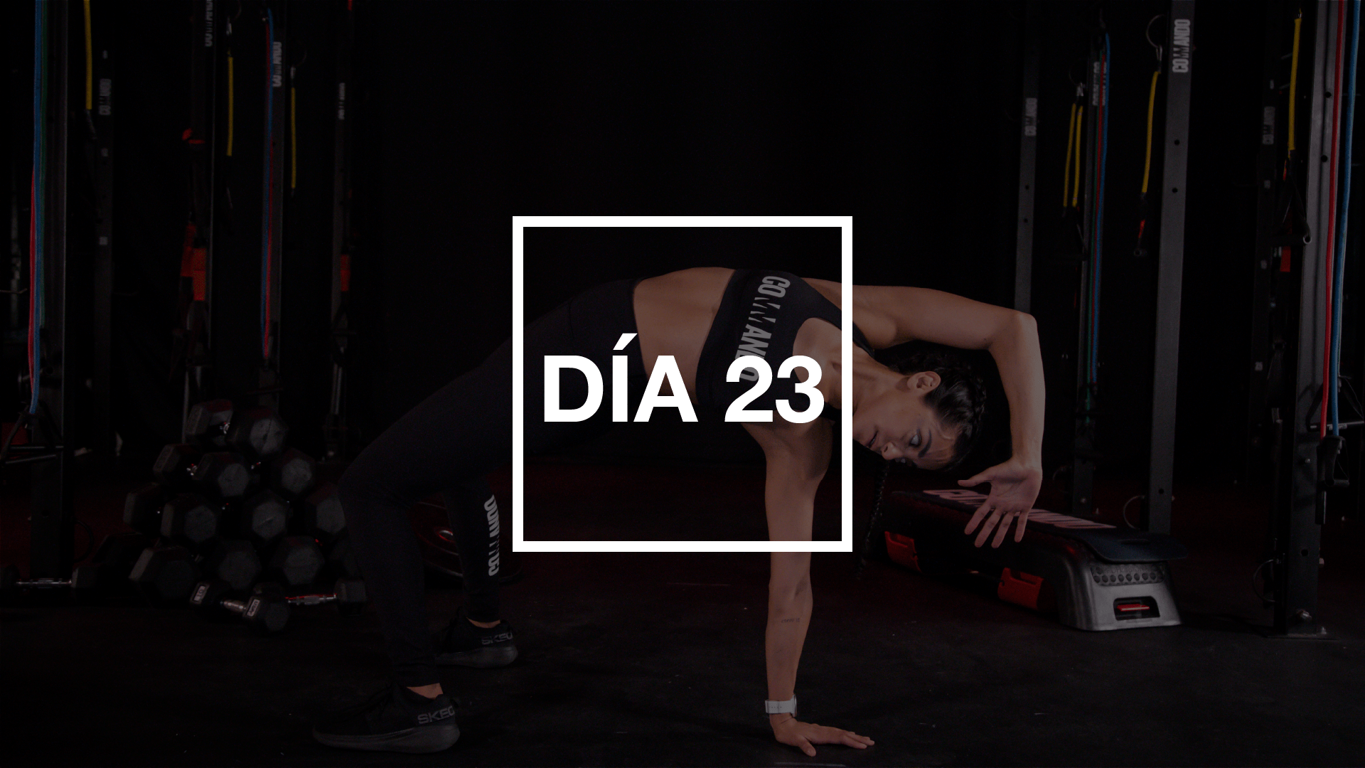 Día 23: Full Body Flow Progression con Ceci