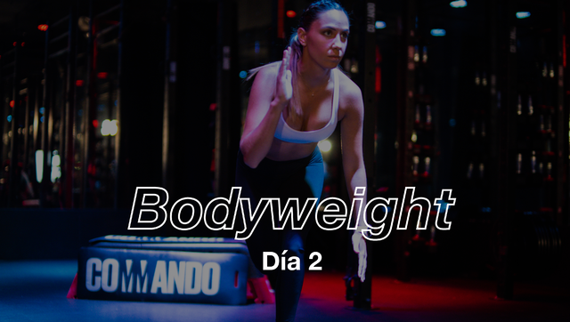 Día 2: Upper & Core con Dani