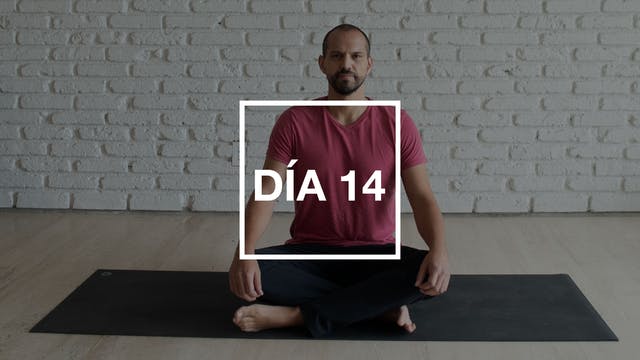 Día 14: Energía Vital con Andrés