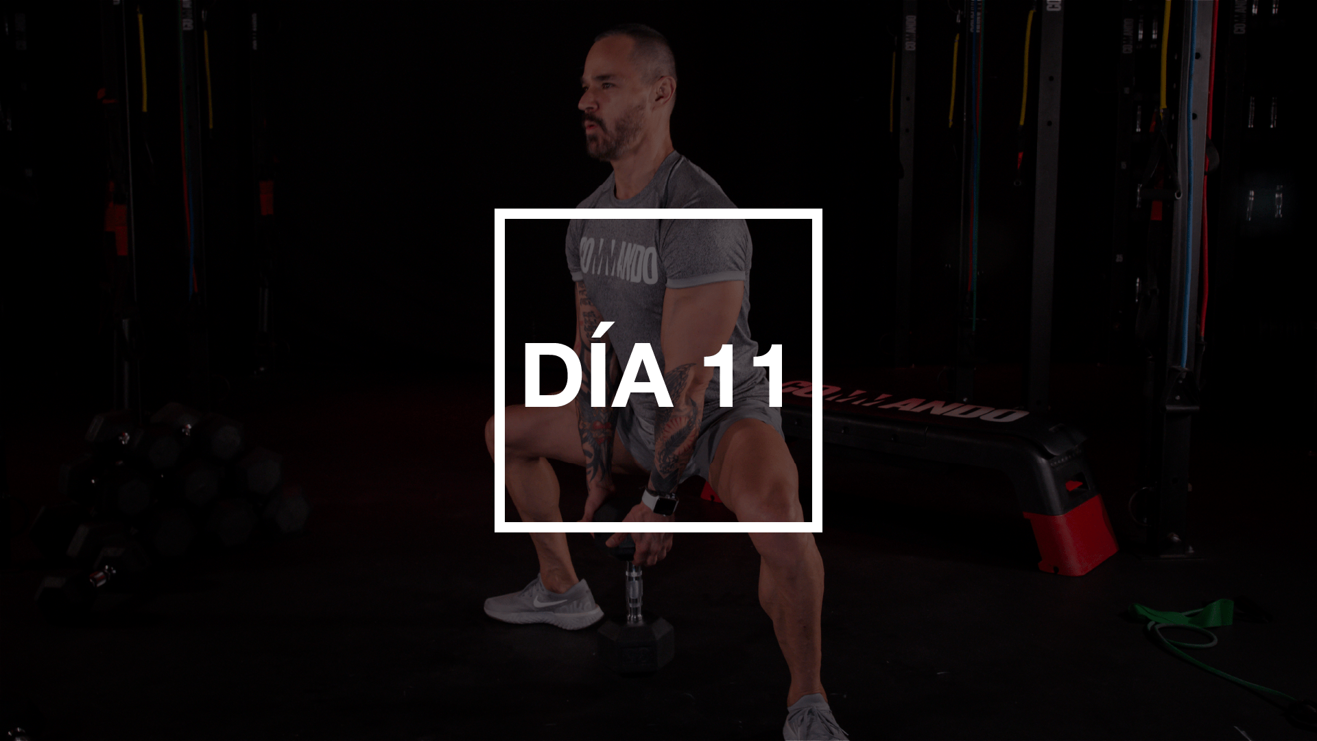 Día 11: Pecho & Bíceps con Pico