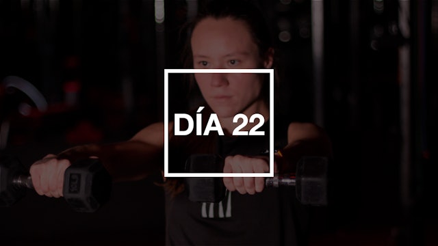 Día 22: HIIT Full Body Workout con Andie