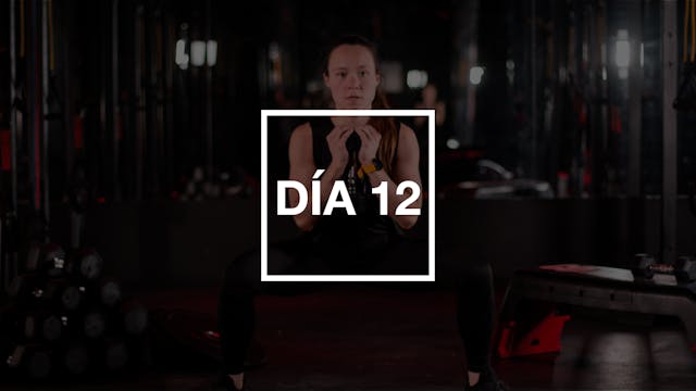 Día 12: HIIT Full Body Workout con Andie