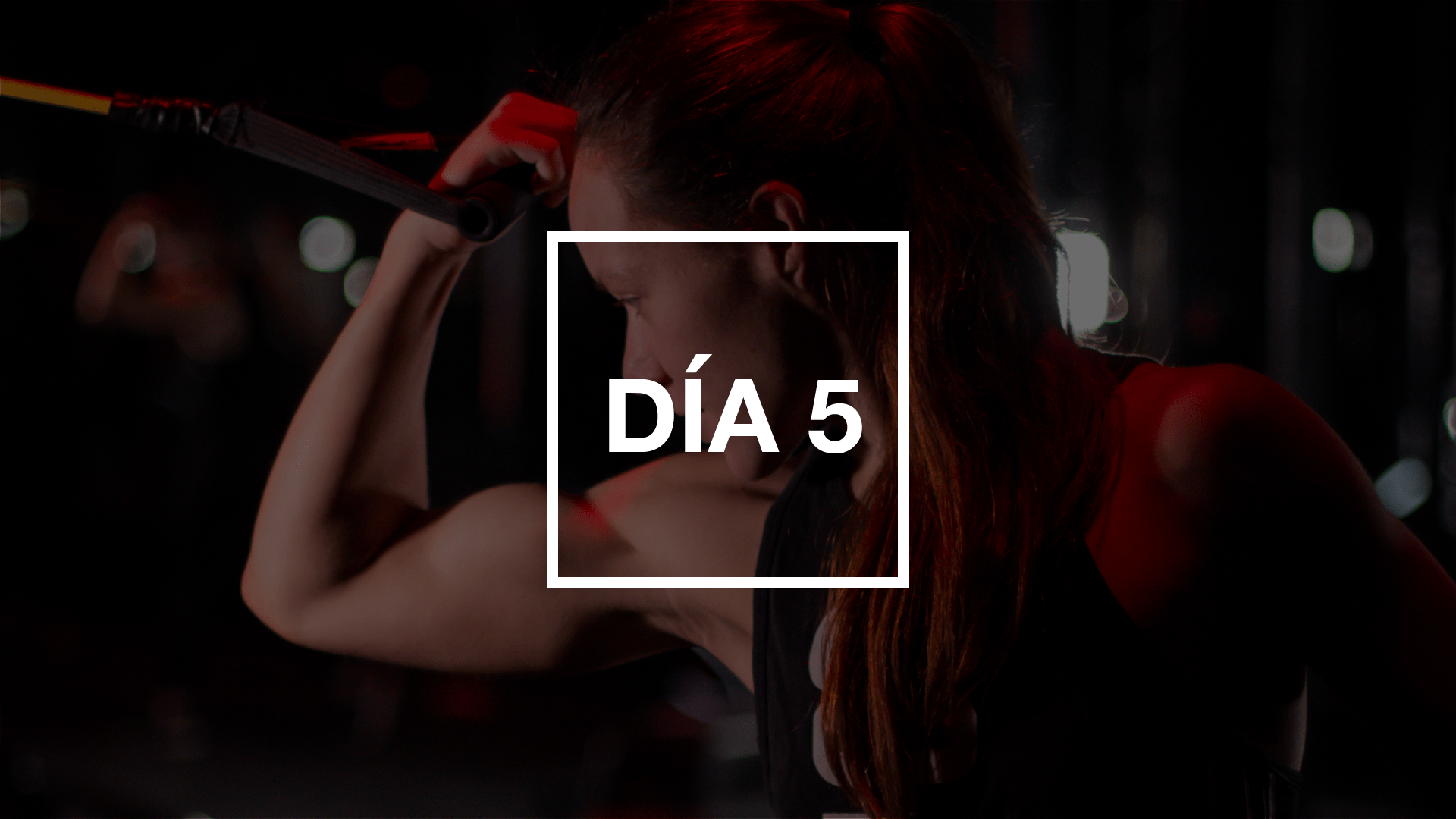 Día 5: Hombros y Abs con Andie