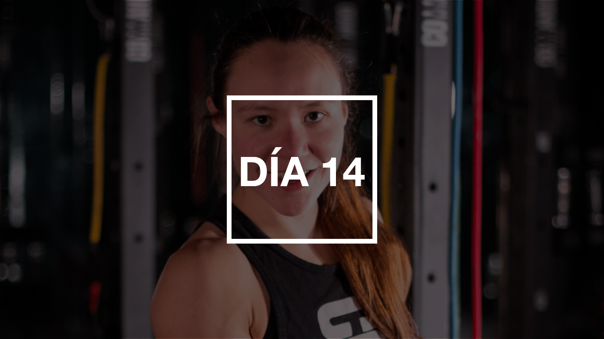 Día 14: Hombros & Abs con Andie