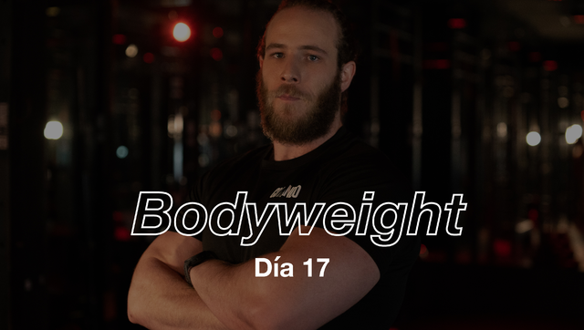 Día 17: Upper & Core con Ricardo