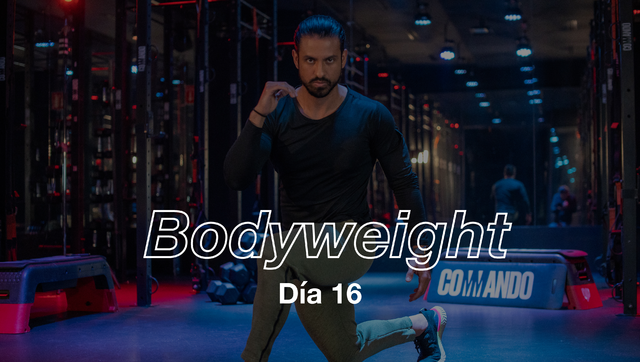 Día 16: Full Body con Pete