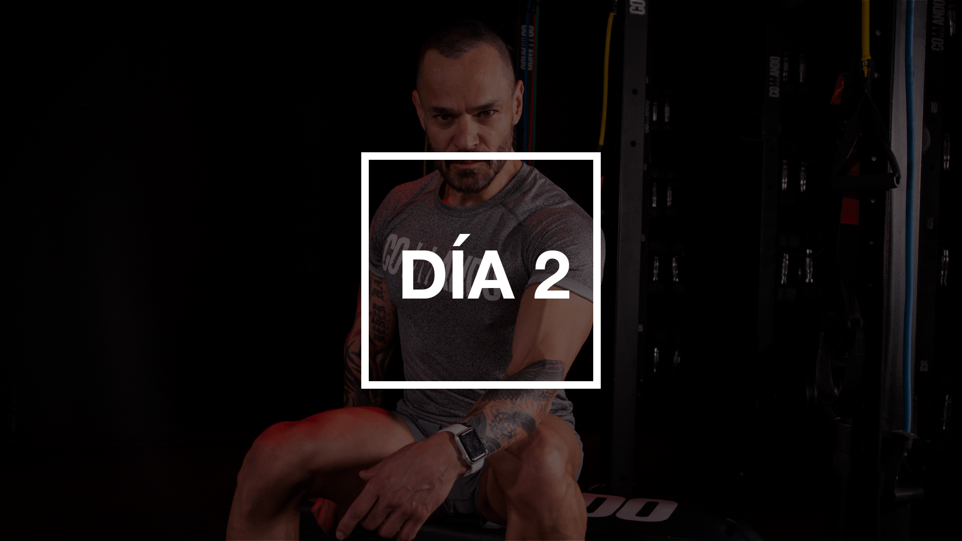 Día 2: Pecho y Bíceps con Pico