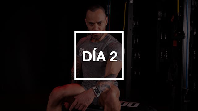 Día 2: Pecho y Bíceps con Pico
