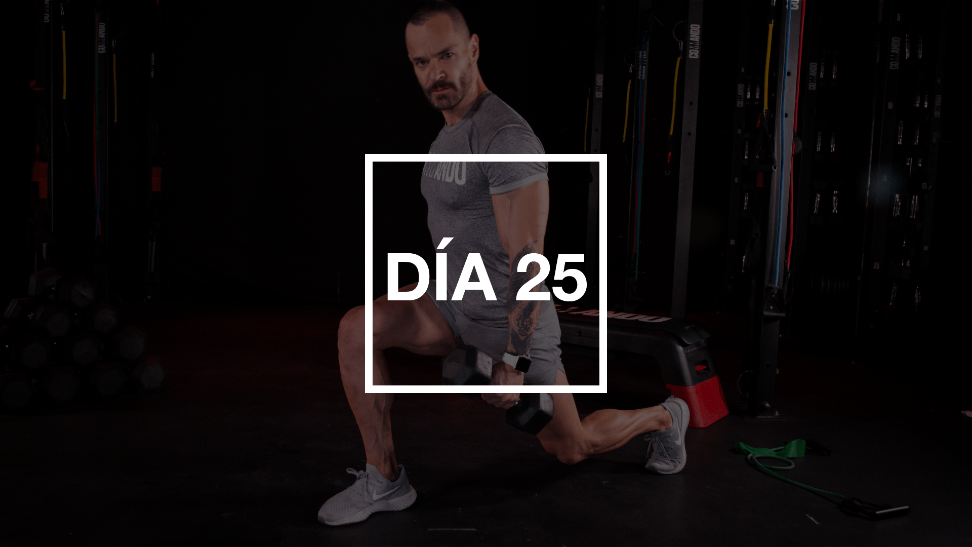 Día 25: Bíceps, Tríceps & Hombros con Pico