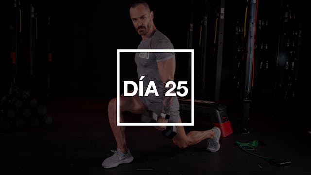 Día 25: Bíceps, Tríceps & Hombros con...