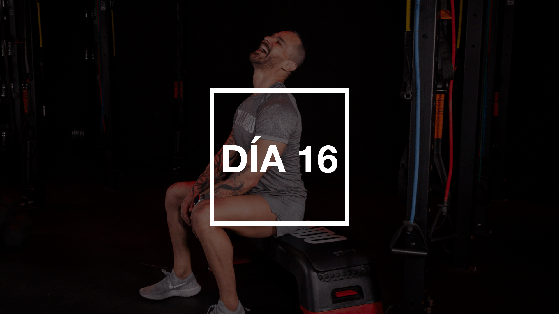 Día 16: Espalda & Tríceps con Pico