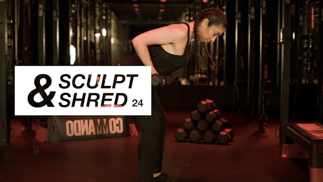 Entrenamiento 24: Pecho y espalda con...