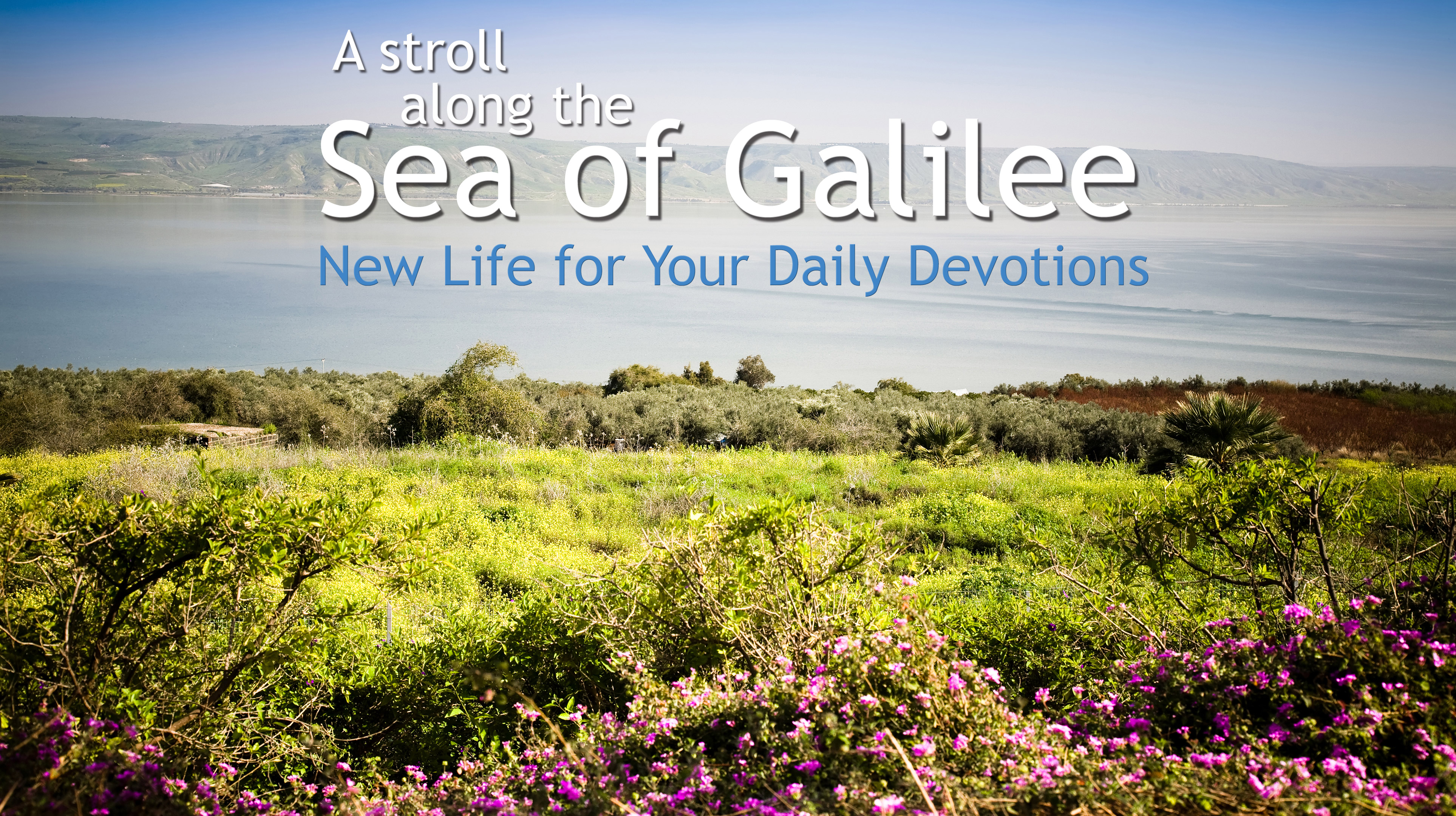 A Stroll Along the Sea of Galilee