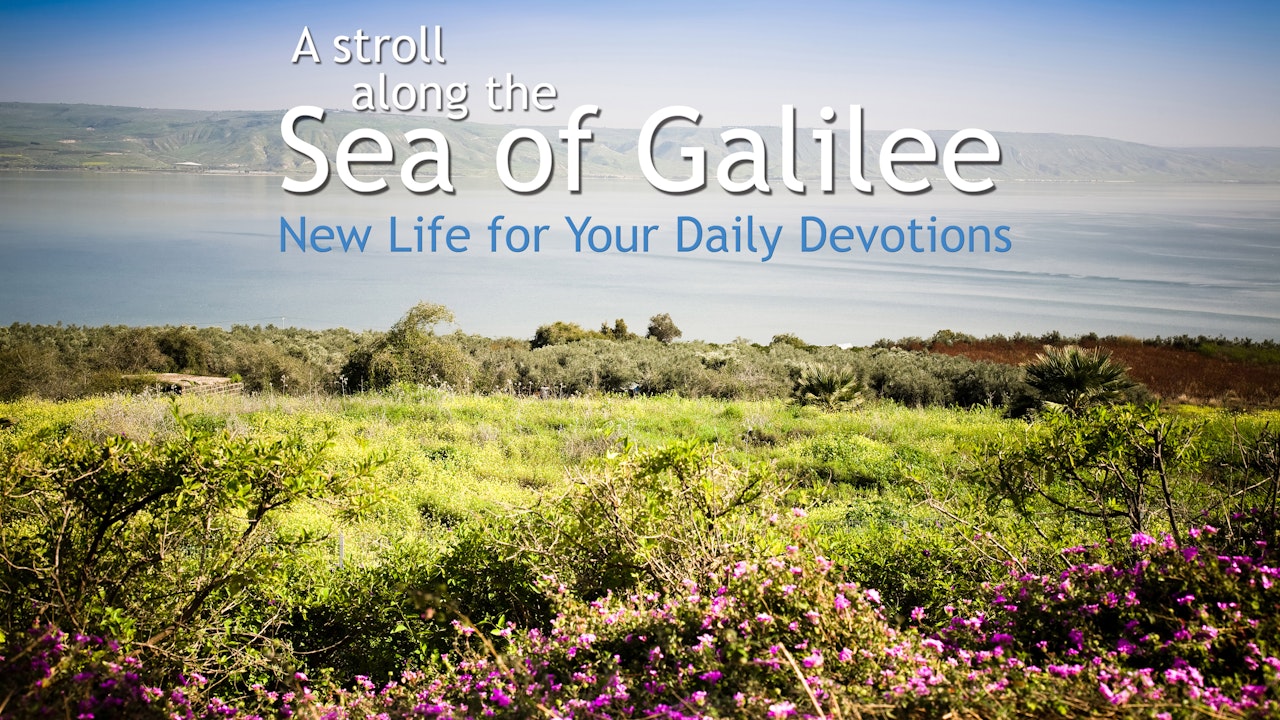A Stroll Along the Sea of Galilee