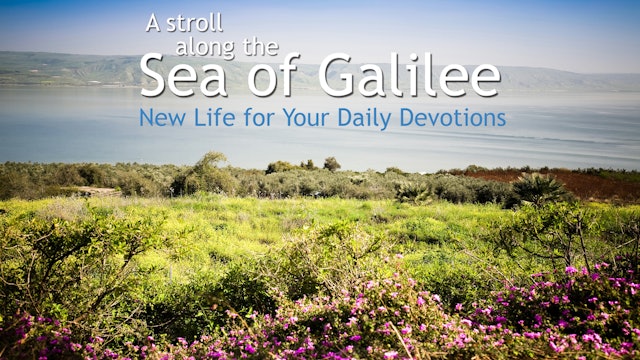 A Stroll Along The Sea Of Galilee - For Daily Use