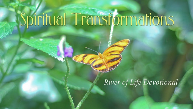 Spiritual Transformations - River of Life