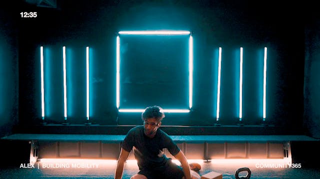 ALEX_MOBILITY_BUILD3