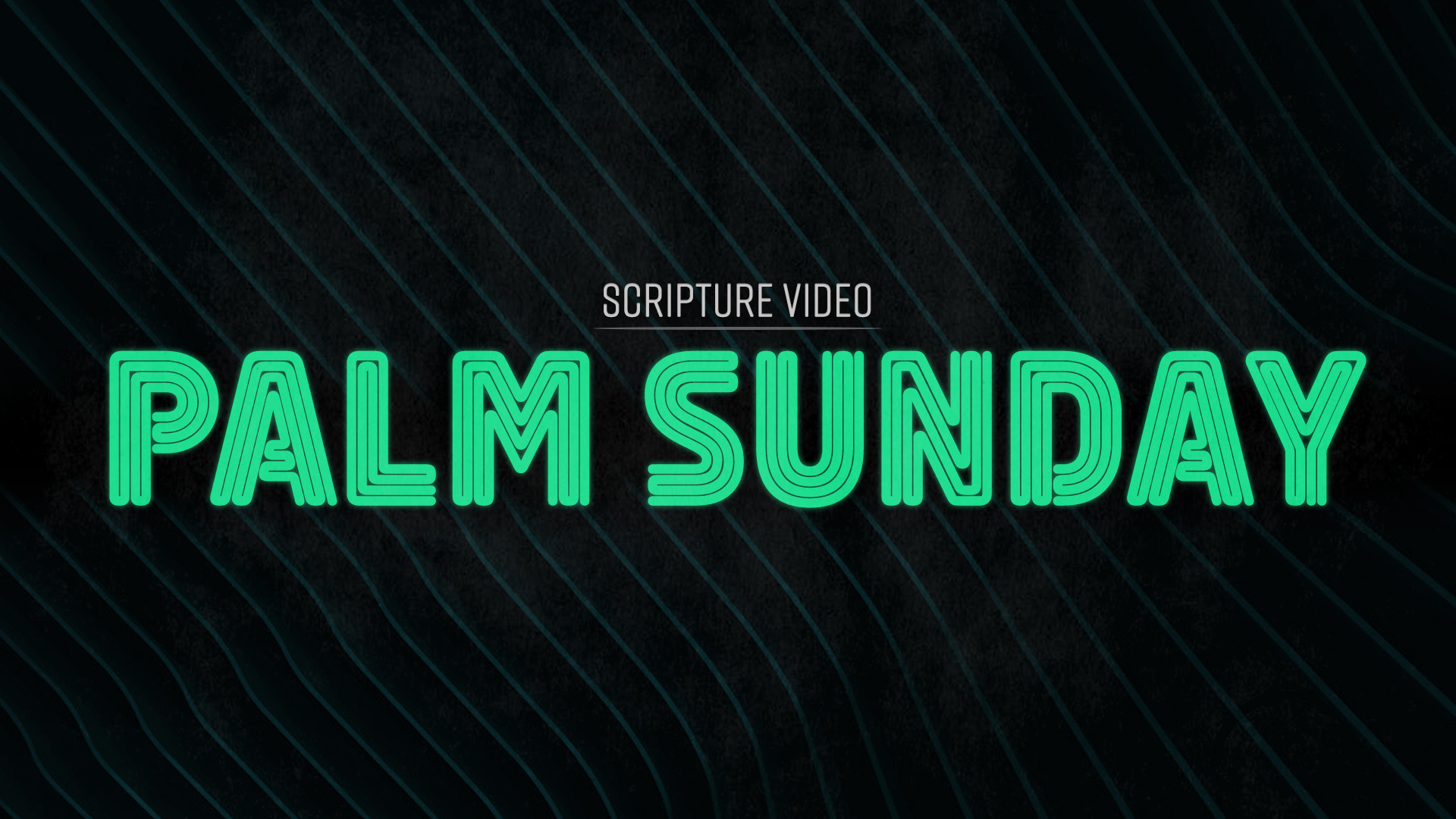 Scripture Video: Palm Sunday