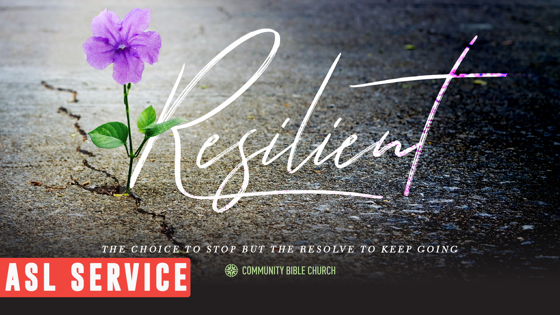 Resilient ASL Services