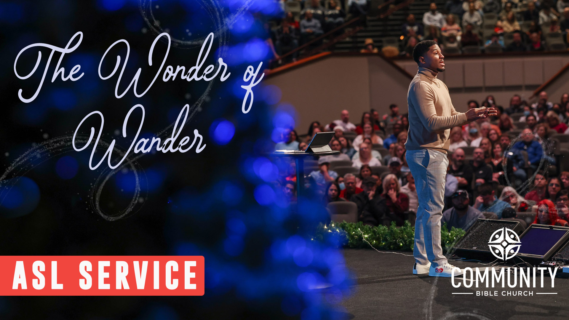 The Wonder of Wander