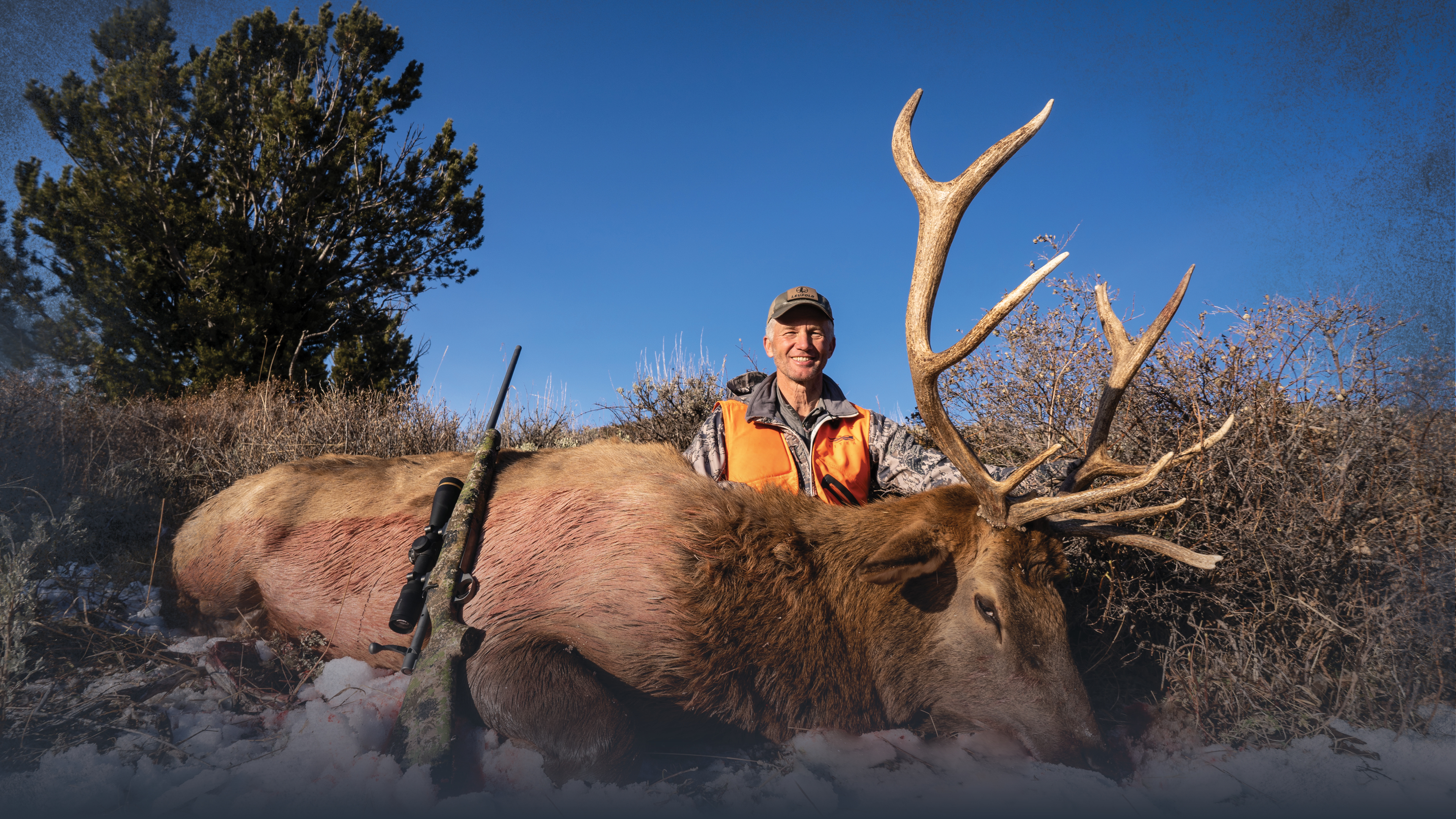 Introduction to Rifle Elk Hunting
